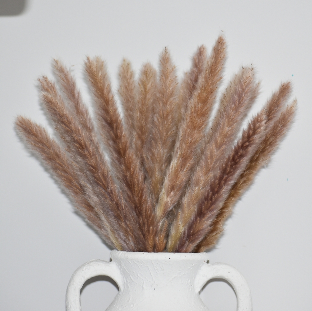 Natural Dried Pampas Grass 20 stems 17"